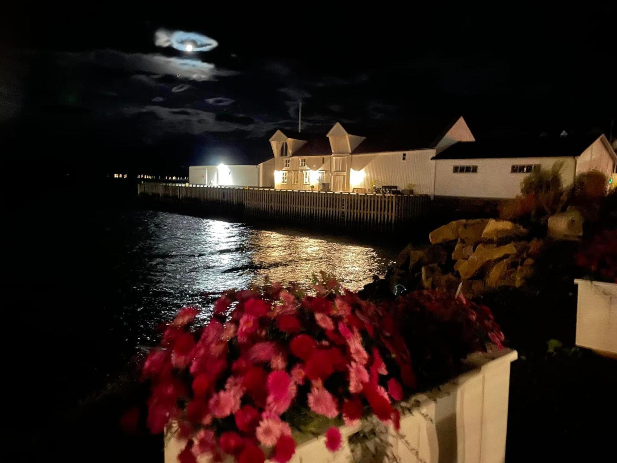 1. Etg I Dampskipsbrygga, Lodingen Havn Экстерьер фото